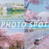 神奈川県の桜フォトスポット