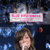 CDTV BLUE BIRD