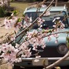 小鯖神社③