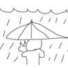 雨の日の散歩