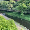 7月7日(月)秩父フライフィールドの河川情報