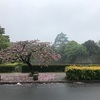 出張ラン 名古屋