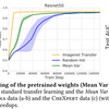 Transfusion: Understanding Transfer Learning with Applications to Medical Imaging 