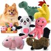 【犬用おもちゃ】LEGEND SANDYぬいぐるみセット正直レビュー！多頭飼い飼い主が語るメリット・デメリット