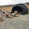 久しぶりのかわせみ河原