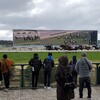 京都競馬観戦記２(レース参戦🐴🎫)