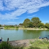 出羽公園の池（埼玉県越谷）