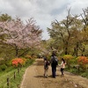 2021.4　弘法山　～ 桜満開の山歩き ～