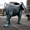 堺市立総合医療センターにある巨大な親子象