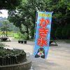 かき氷、始めましたぁ～♪