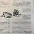 ディズニー 伝説の天才クリエーター マーク・デイヴィス作品集 キャラクターからアトラクションまで 創造の軌跡を探る