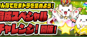 パズドラ 極錬がスタミナフリーだったのでがっつり周回してきた エルさんのぱずどら日記