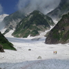 白馬岳と高山植物(Japan Alps～Paradise for alpine plants)