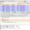  LinuxカーネルHack: ICMPヘッダーの調査(GDBで任意のメモリーをArtificial Arraysとして生バイト列で見る)