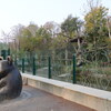 シェーンブルン動物園訪問（2日目）