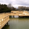 八条ヶ池　水上橋