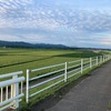 遣水観音山からの林道鍋谷和佐谷線