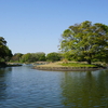 【写真日記】春爛漫＠昭和記念公園