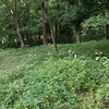 ８．１６（金・雨）過剰警戒、台風7号と南海トラフ。
