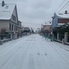 フランスで初めての大雪体験☃️とCafの申請での小咄