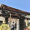 京都旅2日目❷❤️下鴨神社、盛り沢山の美しい場所✨