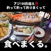 足下にサビキ垂らすだけアジ100匹超え【アジ祭り】最強爆釣サビキ釣り仕掛け。横浜金沢八景島駅下 釣果速報