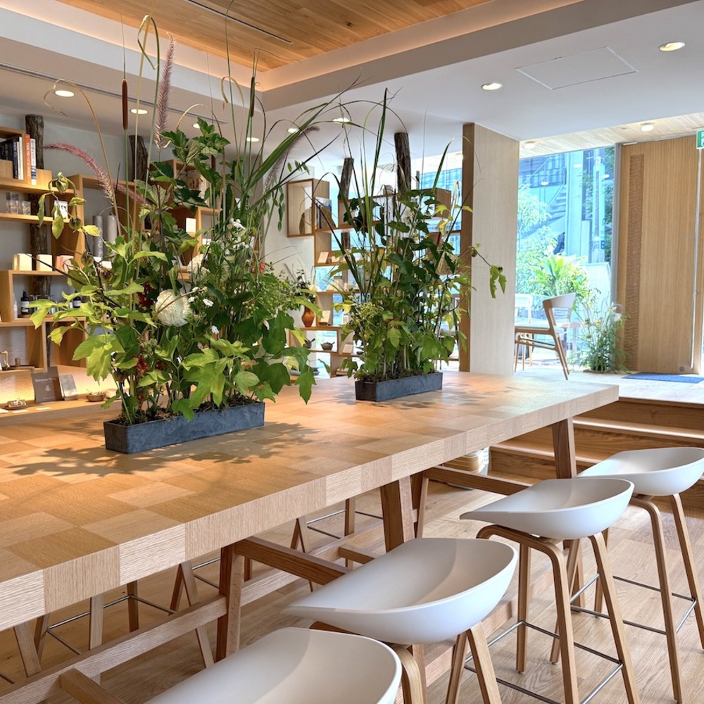 東京・表参道にウェルネスな養生カフェ「enoak」誕生。心身を整えるやさしい時間と空間