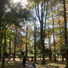 【学びの時間】医者の本音④　個というものの死と尊厳