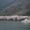 湖北海津大崎その２