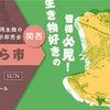 11月10日ぶりくら市出展します！