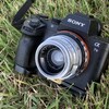 マウントアダプターあそび！Carl Zeiss jena Biogon 35mm F2.8 【作例集】