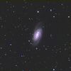 しし座の銀河 NGC2903