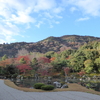 【天龍寺】紅葉美しい雄大な借景庭園！だるまや龍まで見所を巡る