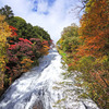 奥日光湯川の紅葉