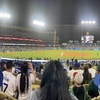 【2025年】JTB他・各社ドジャース観戦ツアーの値段は？費用を抑える裏技、ドジャースタジアム座席からの見え方は？