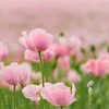 誕生日を迎えることは当たり前ではないんですよね