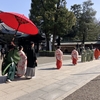 【東京】大國魂神社で神様は本当にいるのだと思った話