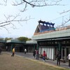雨上がり　アルミ缶プレス