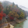 永源寺の紅葉 (*´ー｀*)