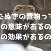 たぬきの置物って何の意味があるの？何の効果があるの？