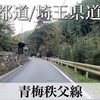 【車載動画】東京都道・埼玉県道53号 青梅秩父線