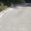 花筏