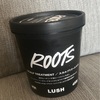 【LUSH】頭皮の匂いケアに現実頭皮はガチです！