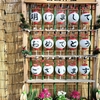 浦安情景・清瀧神社と今年の運勢。