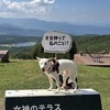 しらたまと白樺湖