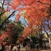 「下鴨神社・河合神社」竈神・紅葉と馬車　2020