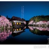 「そうだ 京都、行こう。」春のCMが美しい！【JR東海】