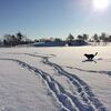 まっさらな雪の中を爆走ですよー