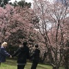春の訪れ...？