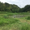 6月10日　里山活動報告